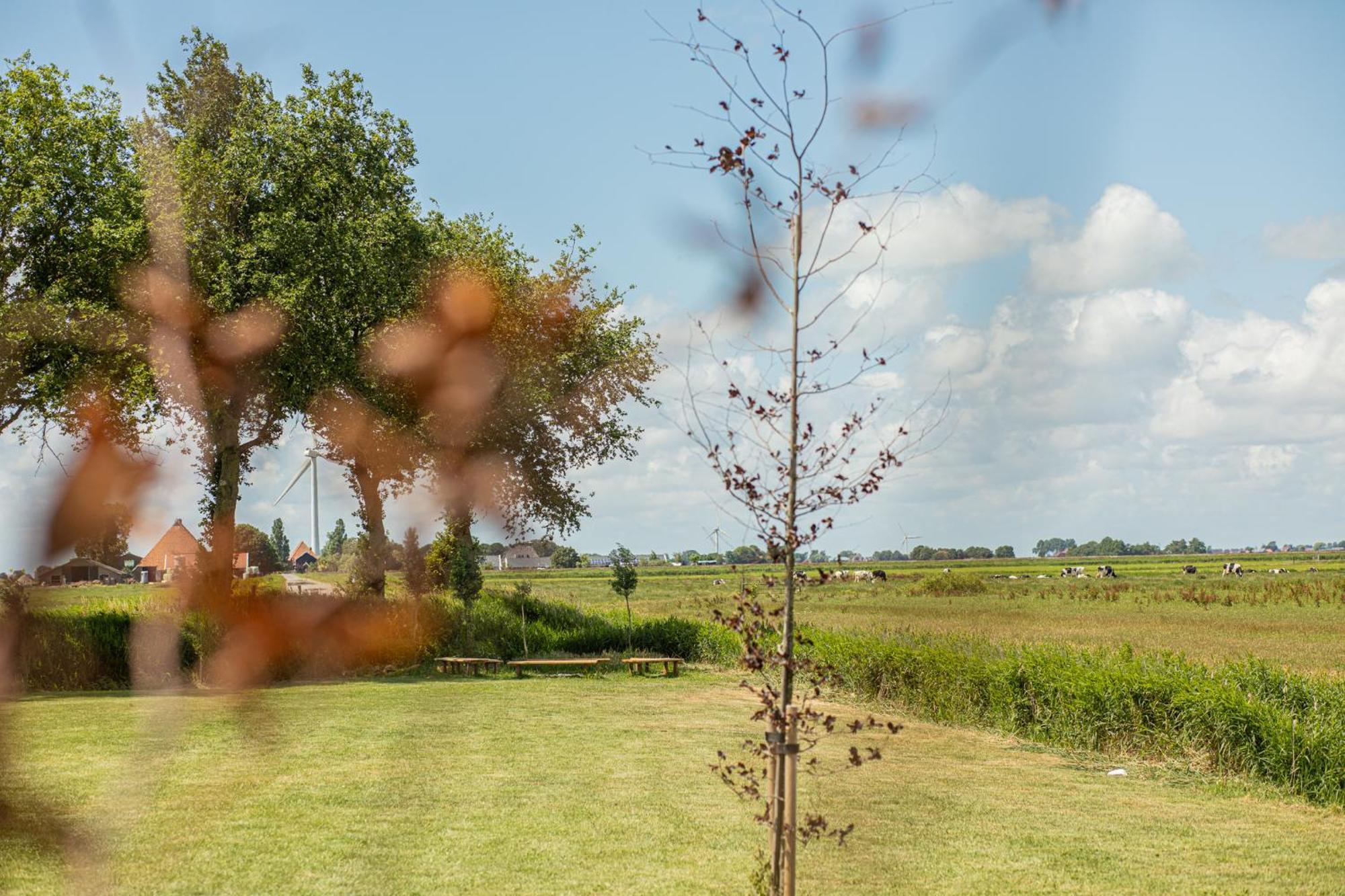 Groepsaccommodatie Fries En Fruitig Nijhuizum Exterior foto